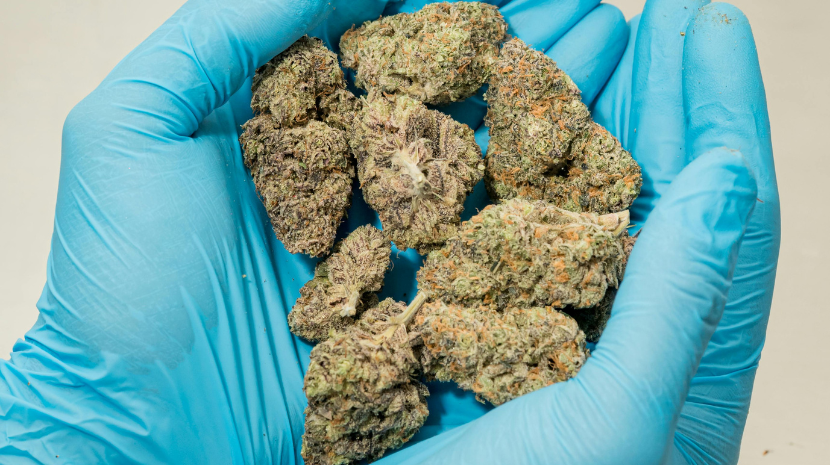 buying marijuana online