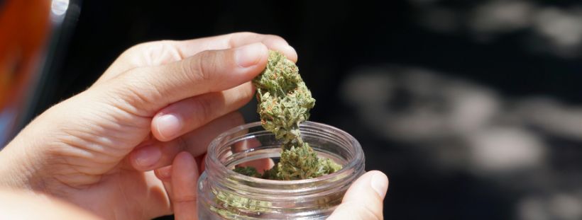 Marijuana delivery